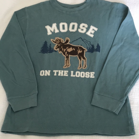 *️⃣ 2/$30 Gymboree Boys long sleeve graphic tee - Picture 2 of 6